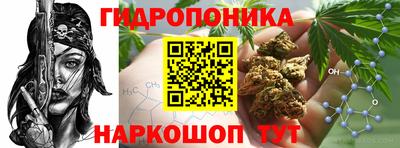 PSILOCYBIN Краснокаменск