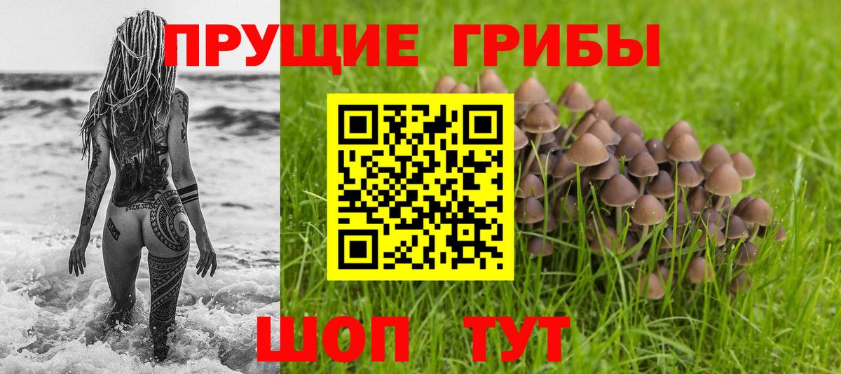 Псилоцибиновые грибы мицелий Кемерово