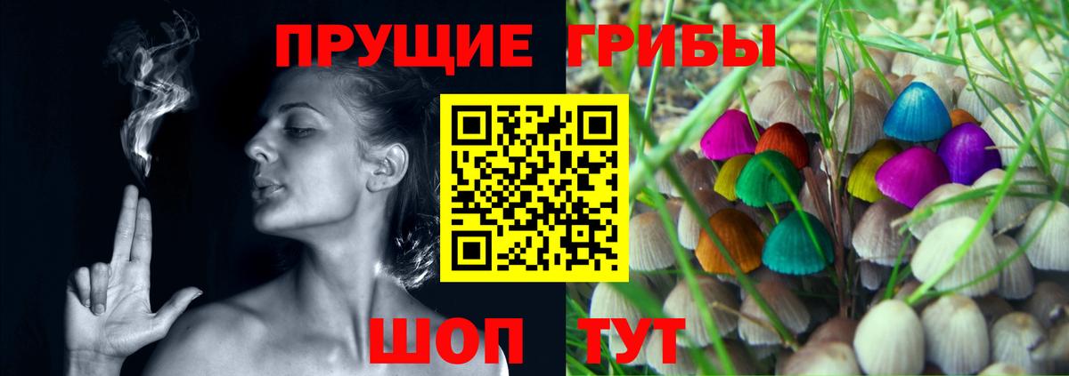 Псилоцибиновые грибы Psilocybe  Вход с VPN  Кемерово 